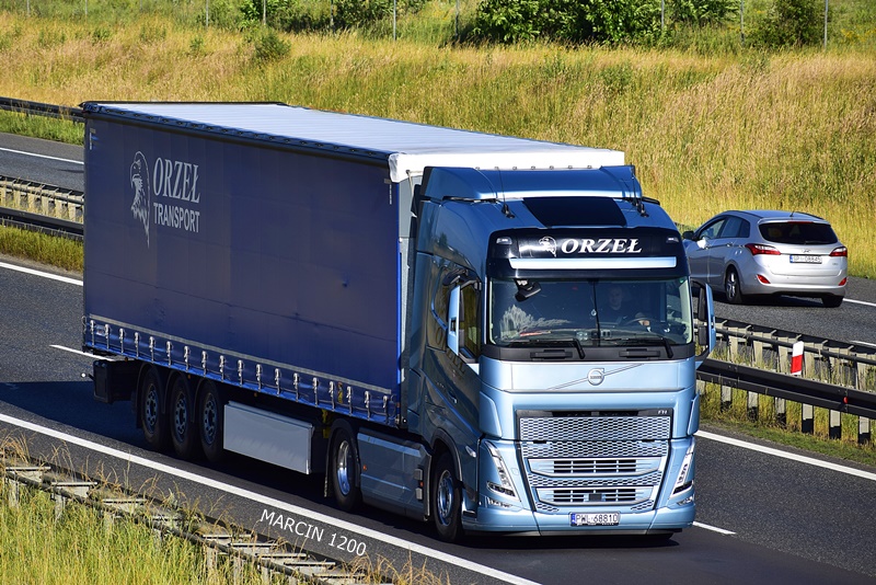 _DSC00011 (1012)-crop-ORZEŁ TRANSPORT-VOLVO FH V.JPG