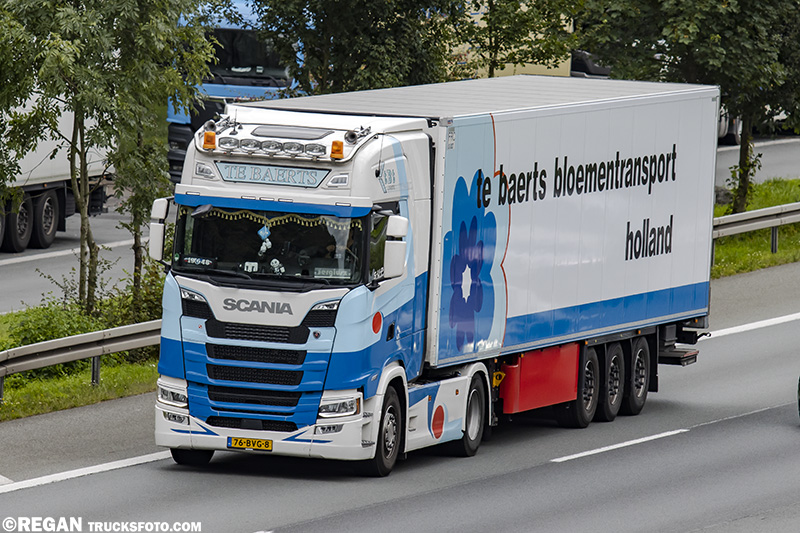 Scania S - Te Baerts Bloementransport.jpg