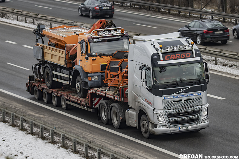 Volvo FH4 - Cargo Pro.jpg