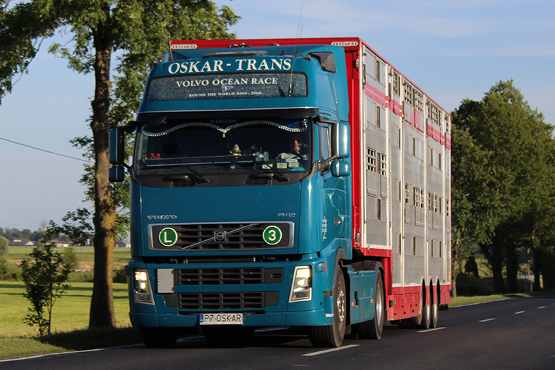 oskar trans 2017.jpg