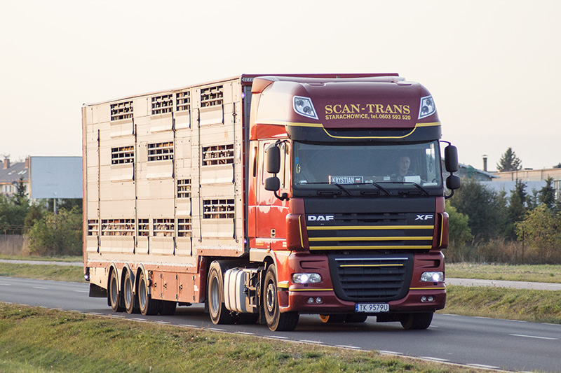 Scan Trans Starachowice.jpg