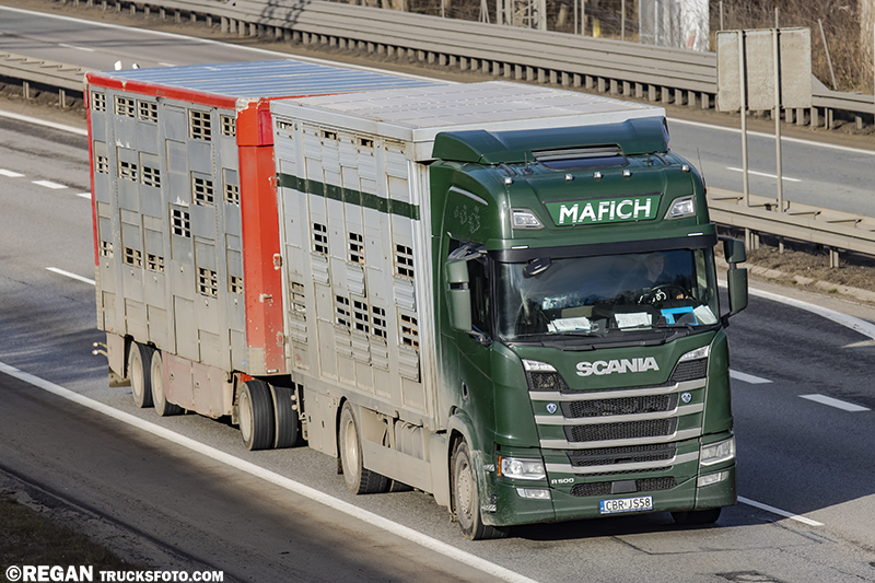 Scania R500 - Mafich.jpg