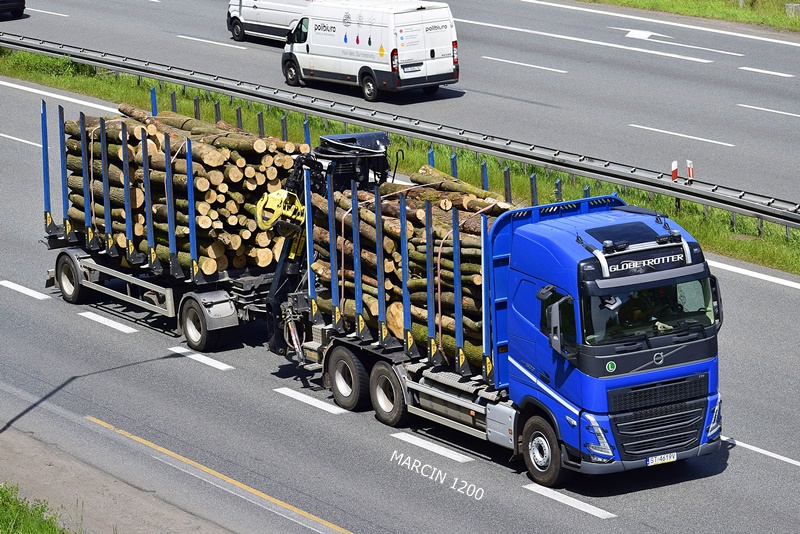 _DSC00011 (532)-crop-TRANSPORT DREWNA-VOLVO FH V.JPG
