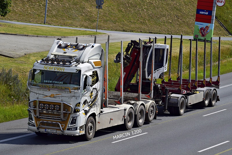 _DSC00011 (1057)-crop-TRANSPORT DREWNA-VOLVO FHIV-SCORPION.JPG