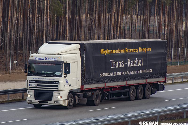 DAF XF95 - Trans-Kachel.jpg