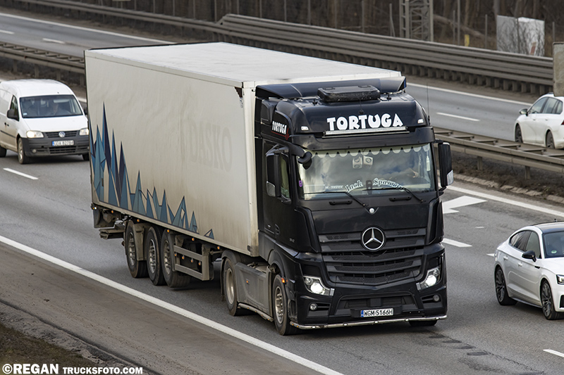 Mercedes-Benz Actros - Tortuga.jpg