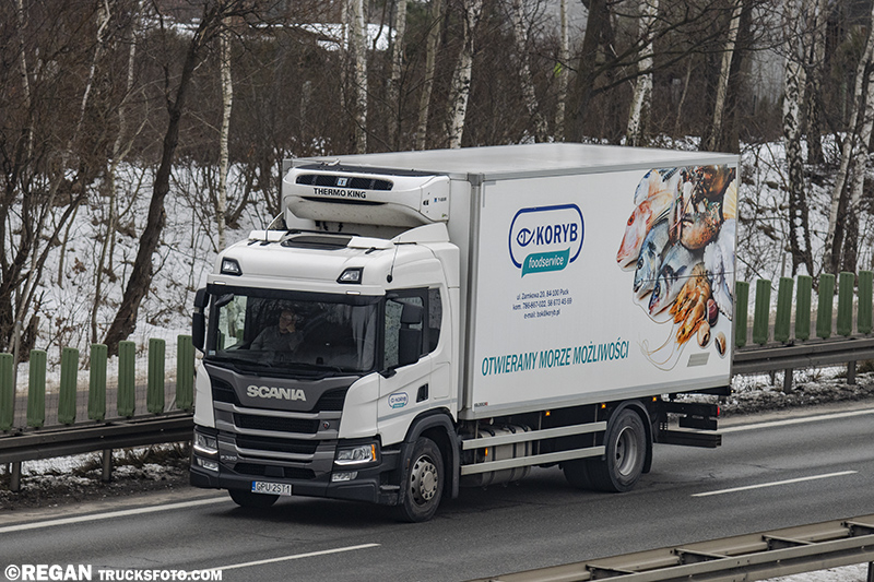 Scania P320 - Koryb.jpg