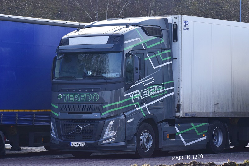 _DSC1772 TEREDO-crop-VOLVO FH AERO.JPG