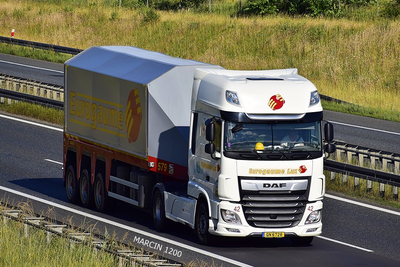_DSC00011 (1004)-crop-Eurogaume-DAF XF 106 II.JPG
