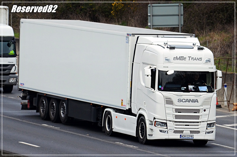 DSC_2026.JPG embe trans.JPG