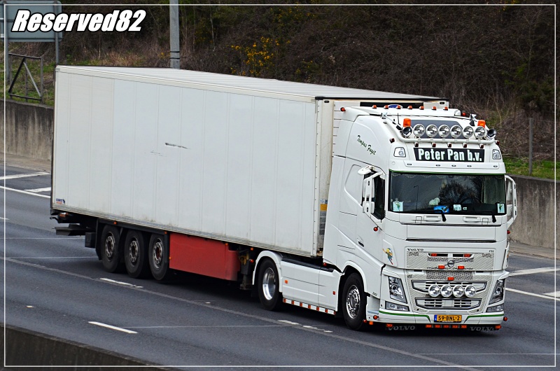 DSC_3282.JPG Peter pan b.v.JPG