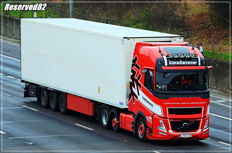 DSC_3953.JPG Vandamme.JPG