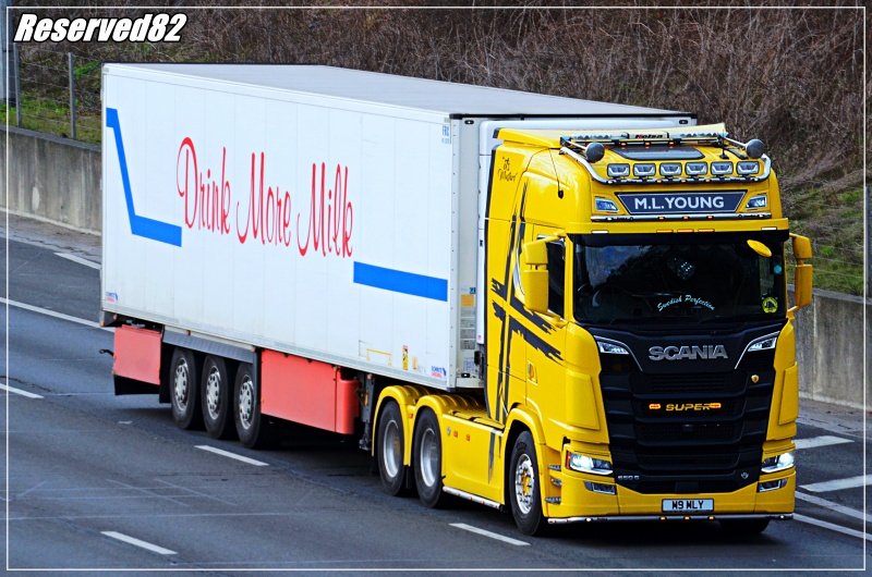 DSC_9008.JPG M.L Young.JPG