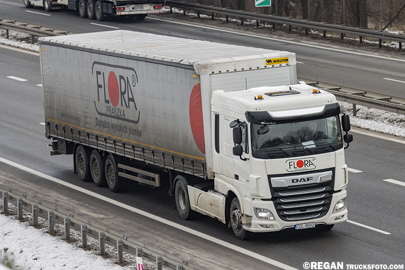 DAF XF - Flora.jpg