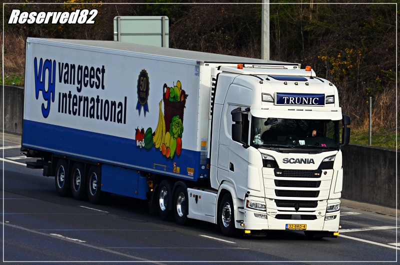 DSC_9708.JPG Trunic.JPG