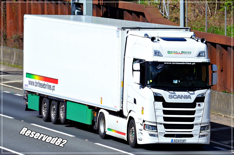 DSC_7088.JPG Brites&Brites.JPG