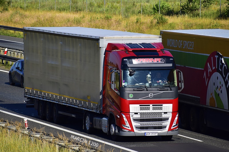 _DSC00011 (1008)-crop-KARINA-VOLVO FHV.JPG