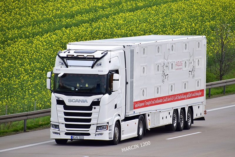 _DSC1439 ANILOG-crop-SCANIA S500.JPG
