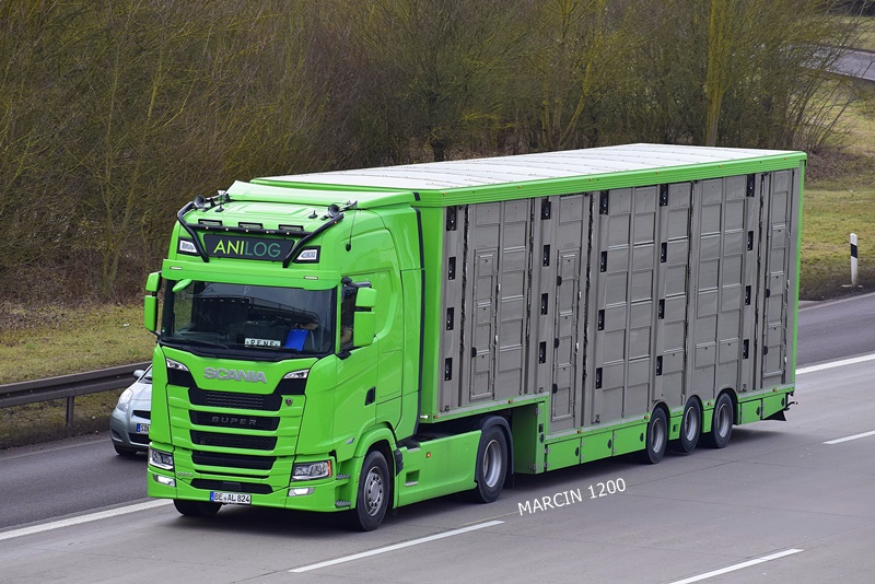 _DSC1333 ANILOG-crop-SCANIA S500.JPG