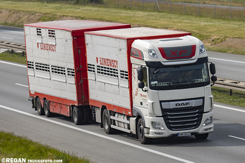 DAF XF - Łuniewscy.jpg