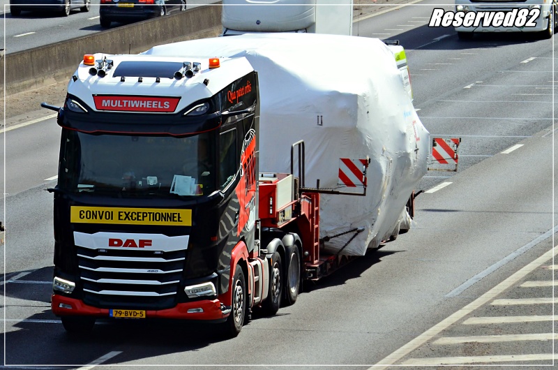 DSC_6446.JPG multiwheels.JPG