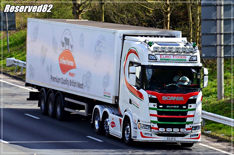 DSC_4236.JPG Euro Food Group.JPG