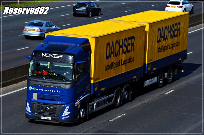 DSC_5765.JPG Noker.JPG