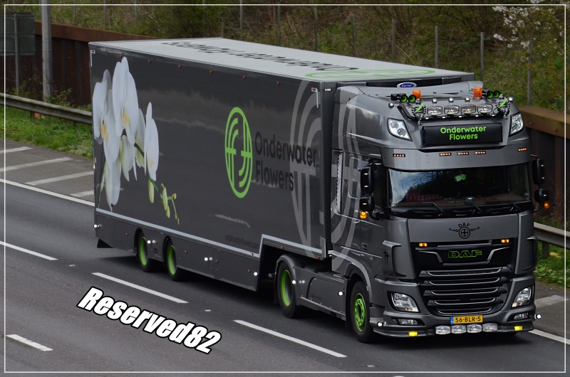 DSC_7899.JPG Onderwater Flowers.JPG