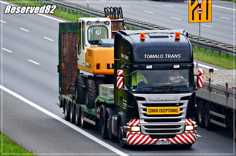 DSC_4592.JPG Tomalo trans.JPG