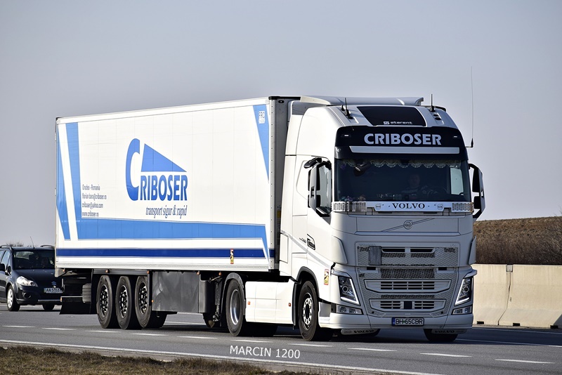 _DSC2082 CRIBOSER-crop-VOLVO FHIV.JPG