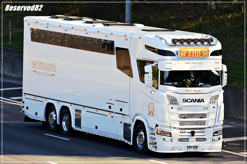 DSC_9151.JPG EHB.JPG