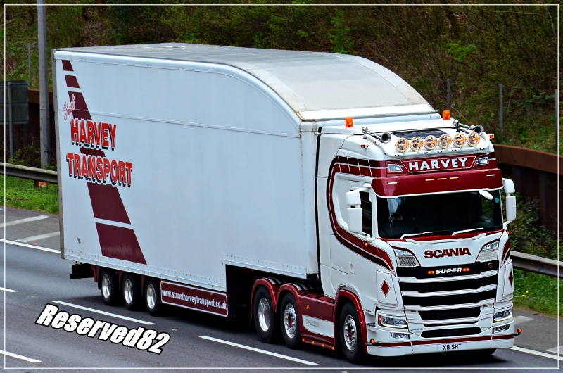 DSC_8011.JPG Harvey.JPG