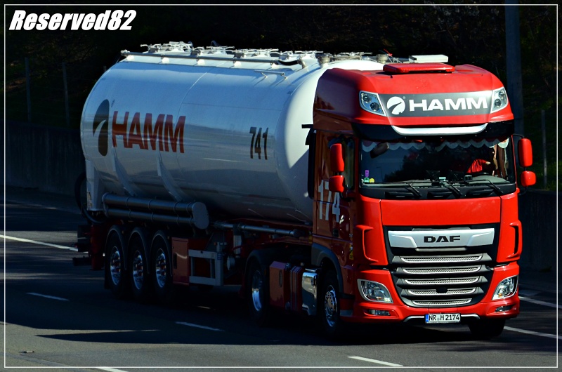 DSC_9564.JPG Hamm.JPG