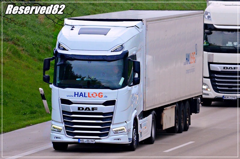 DSC_8382.JPG Hallog.JPG