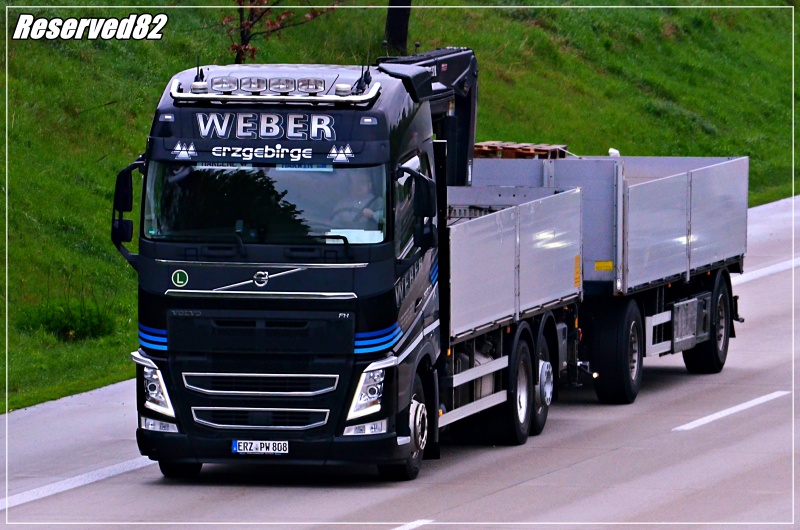 DSC_8388.JPG Weber.JPG