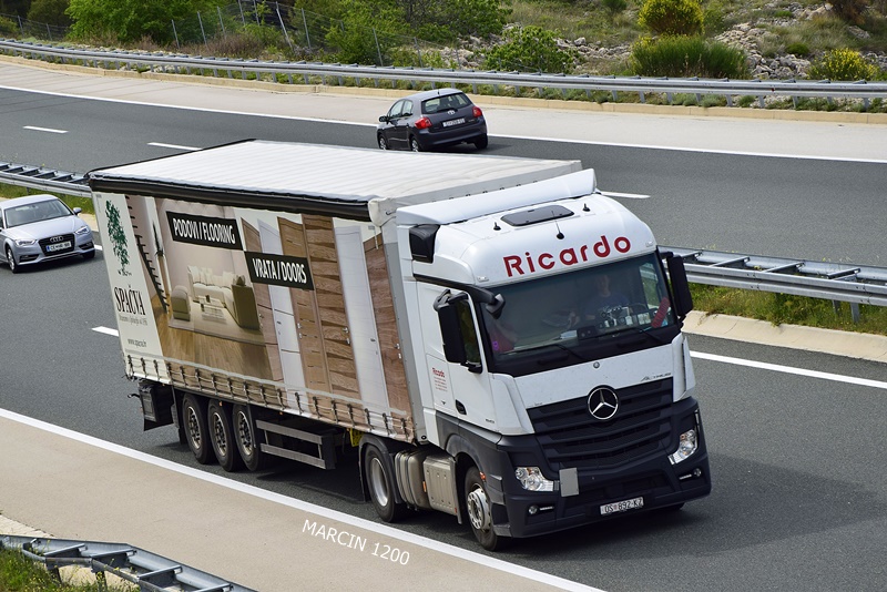 _DSC3673-crop-RICARDO-ACTROS MPIV.JPG