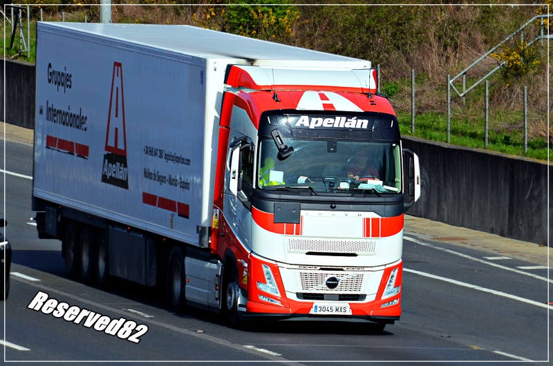 DSC_5933.JPG Apellan.JPG