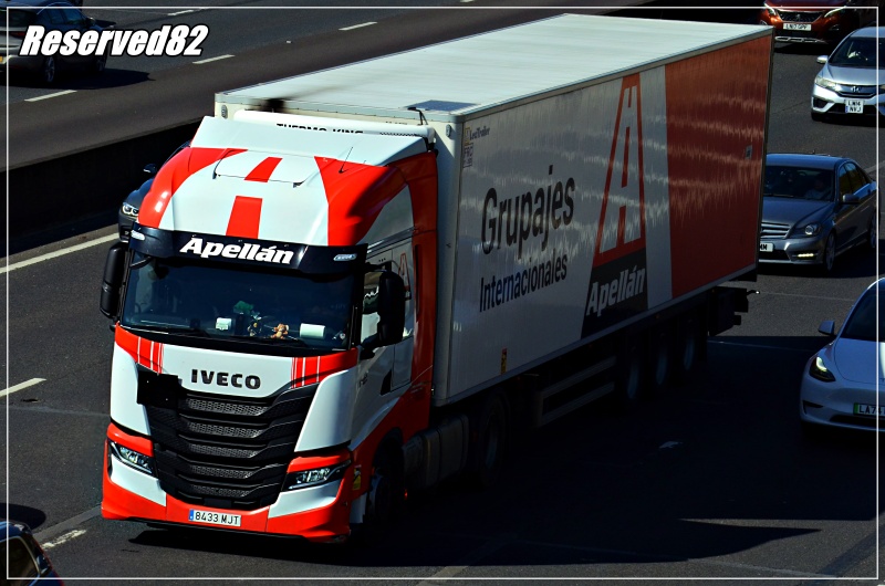 DSC_7177.JPG Apellan.JPG