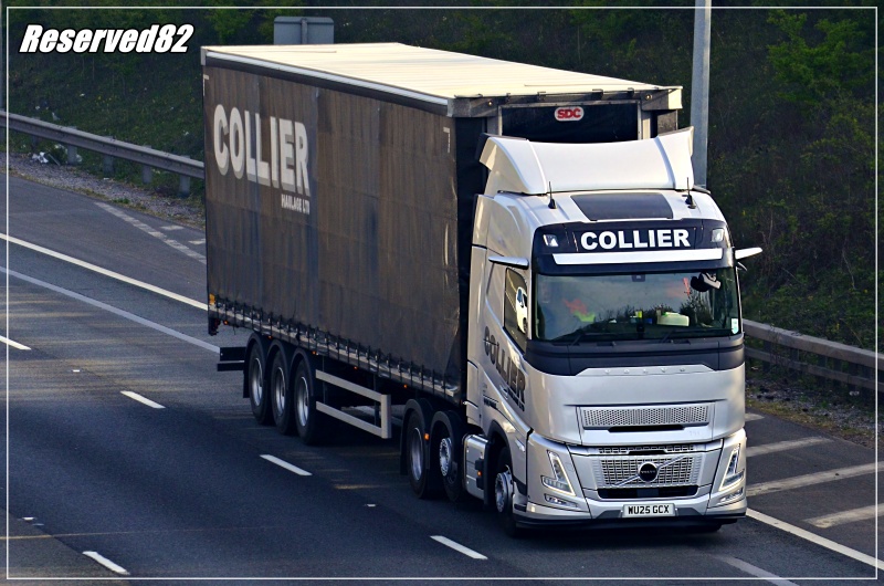 DSC_0663.JPG Collier.JPG