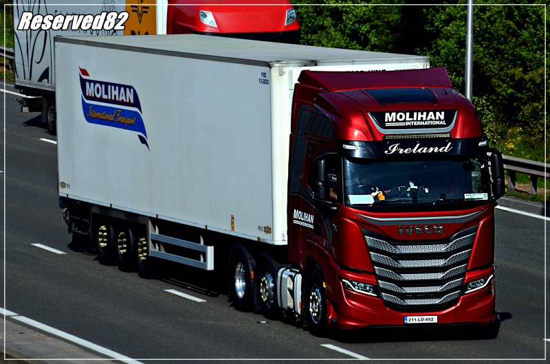 DSC_0895.JPG Molihan.JPG