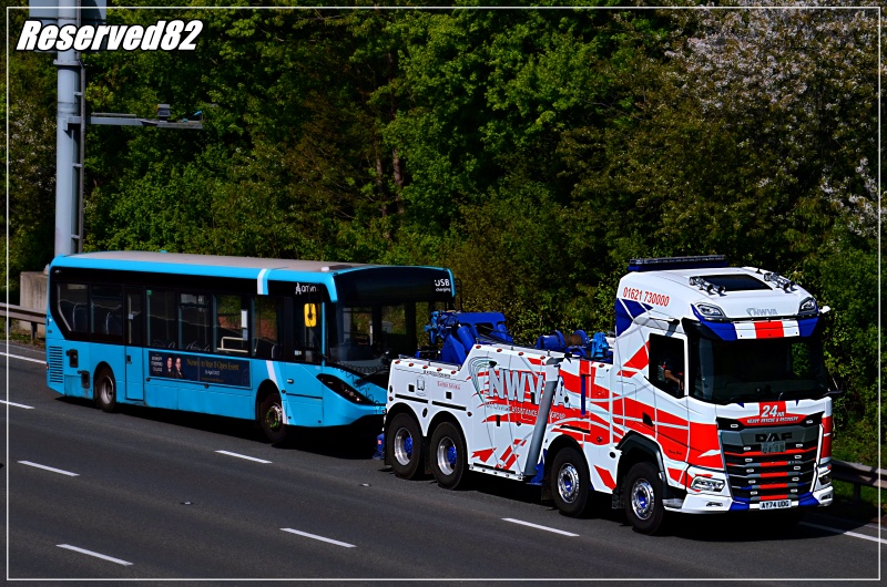 DSC_1351.JPG Holownik.JPG