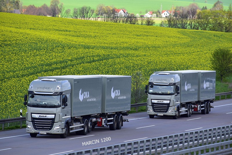 _DSC2294 LOGISERV-crop-DAF XF 106 II.JPG