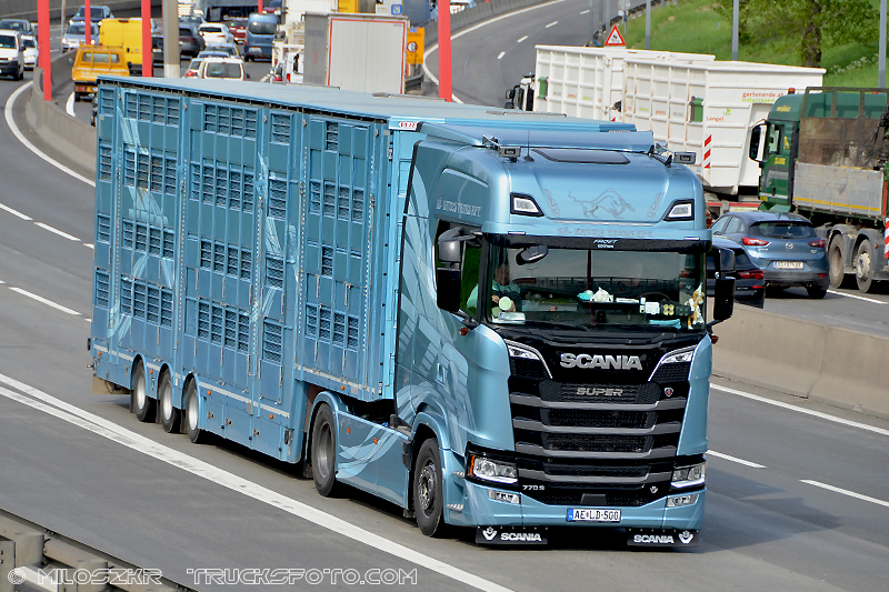 Scania V8 770S_Ko-Kavics-Trans Kft_5388.JPG