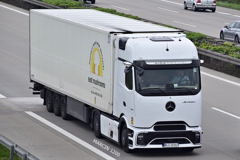 _DSC4288 East Mushrooms-crop-ActrosL PROCABIN.JPG