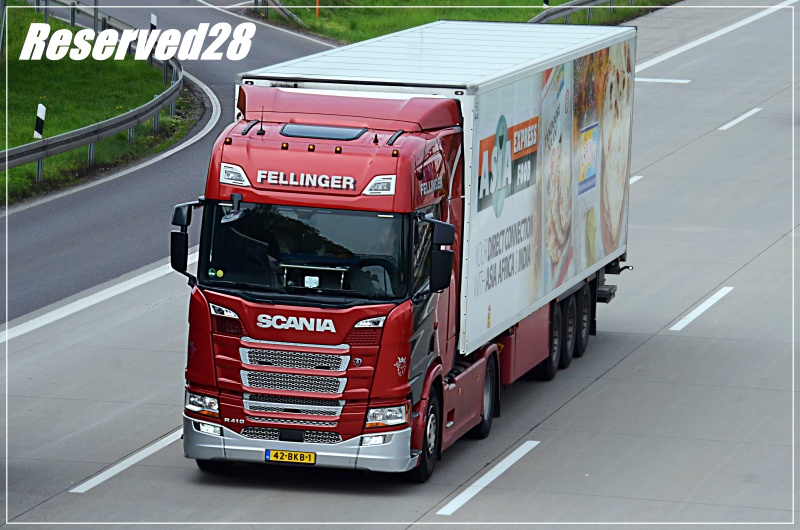 DSC_7994 Fillinger.JPG