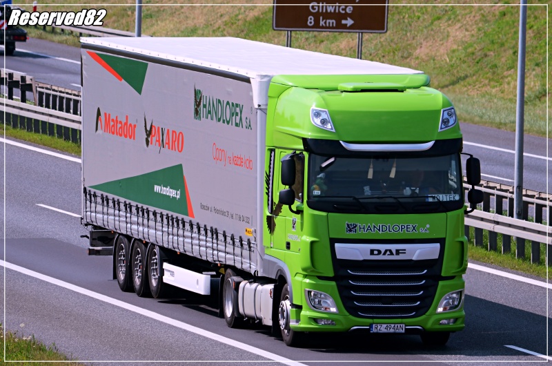 DSC_0207.JPG Handlopex.JPG