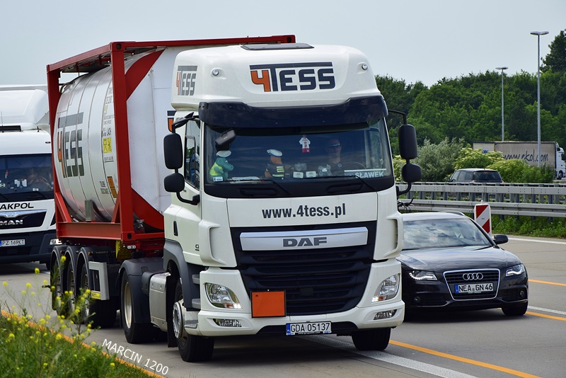 _DSC0291-crop-DAF CF - 4tess.JPG