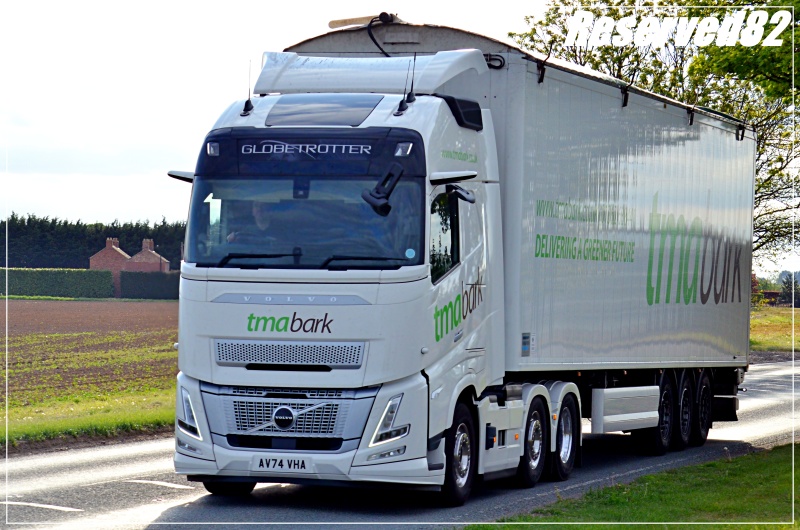 DSC_8128TMA Bark.JPG