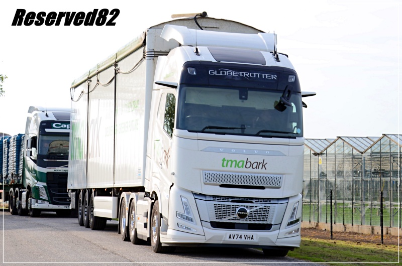 DSC_5549TMA Bark a.JPG