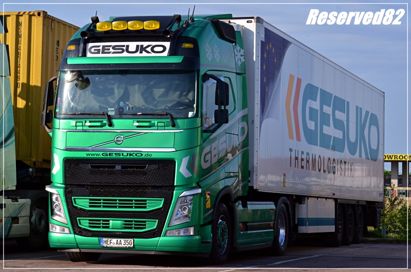 DSC_7367  Gesuco.JPG